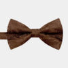 Mens-Paisley-Brown-Bow-Tie-from-Gentlemansguru.com