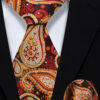 Burnt-Orange-Tie-and-Pocket-Square-Set-Wedding-Groom-Necktie-from-Gentlemansguru.com