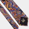 Colorful-Tie-Paisley-Nektie-from-Gentlemansguru.com