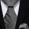 Mens-Grey-Paisley-Tie-and-Pocket-Square-Set-Wedding-Groom-Necktie-from-Gentlemansguru.com