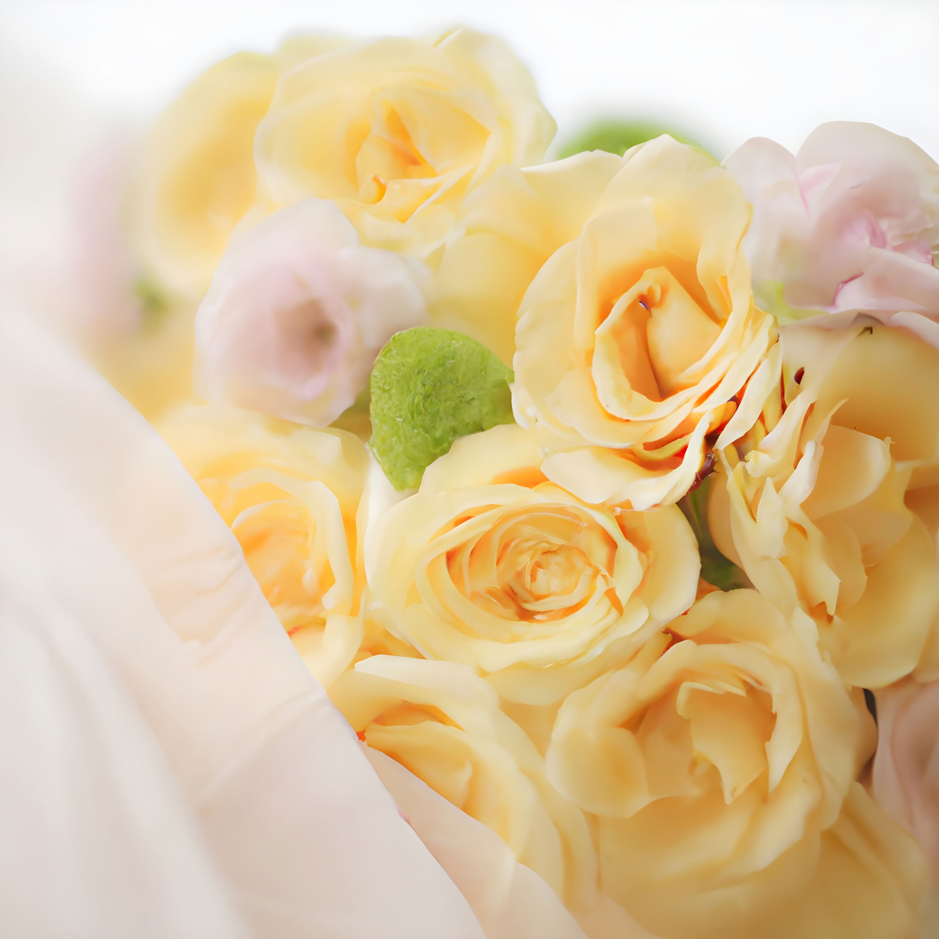 Yellow-Pastel-Wedding-Colors-Theme-Banner-from-Gentlemansguru.com