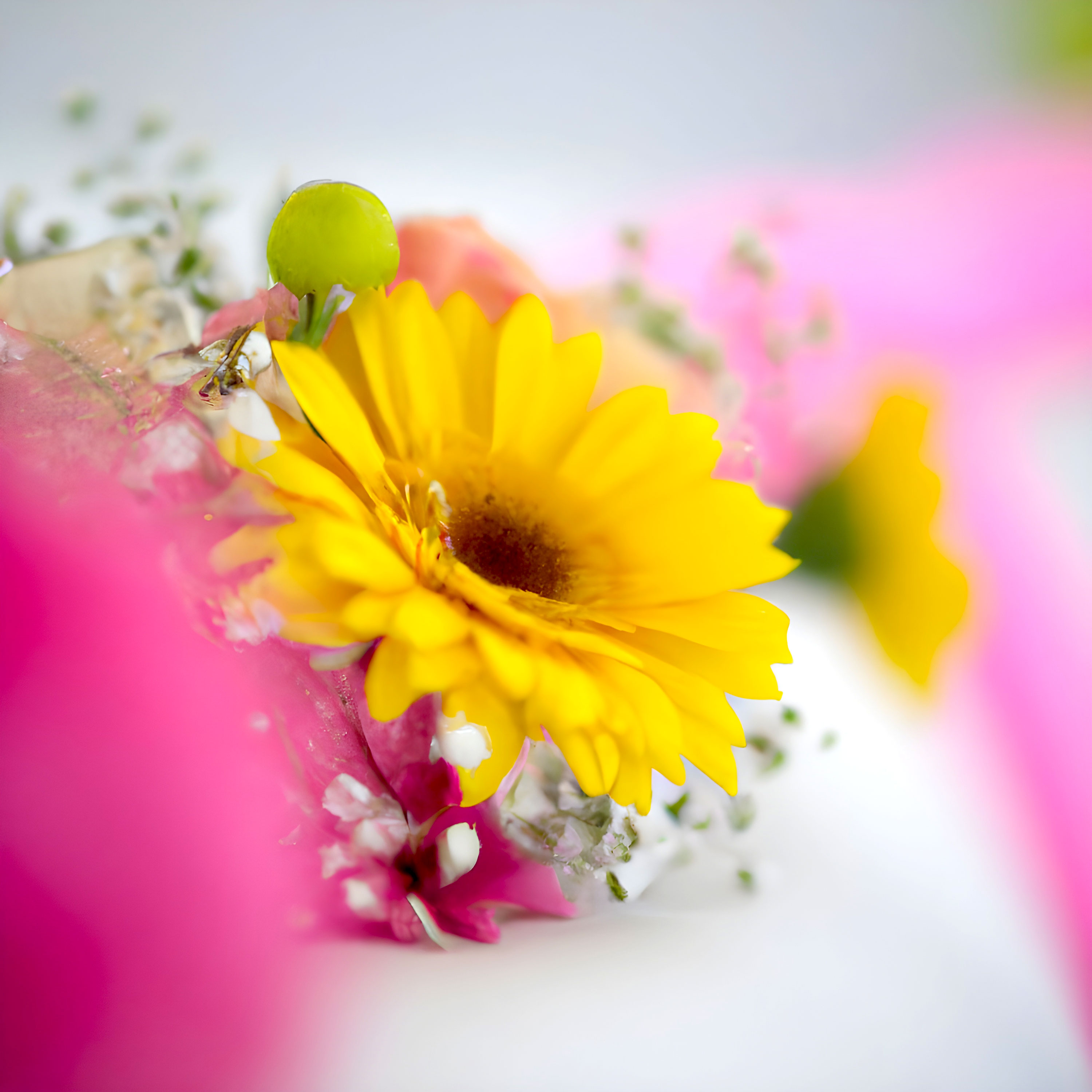 Yellow-and-Pink-Wedding-Colors-Theme-Banner-from-Gentlemansguru.com_